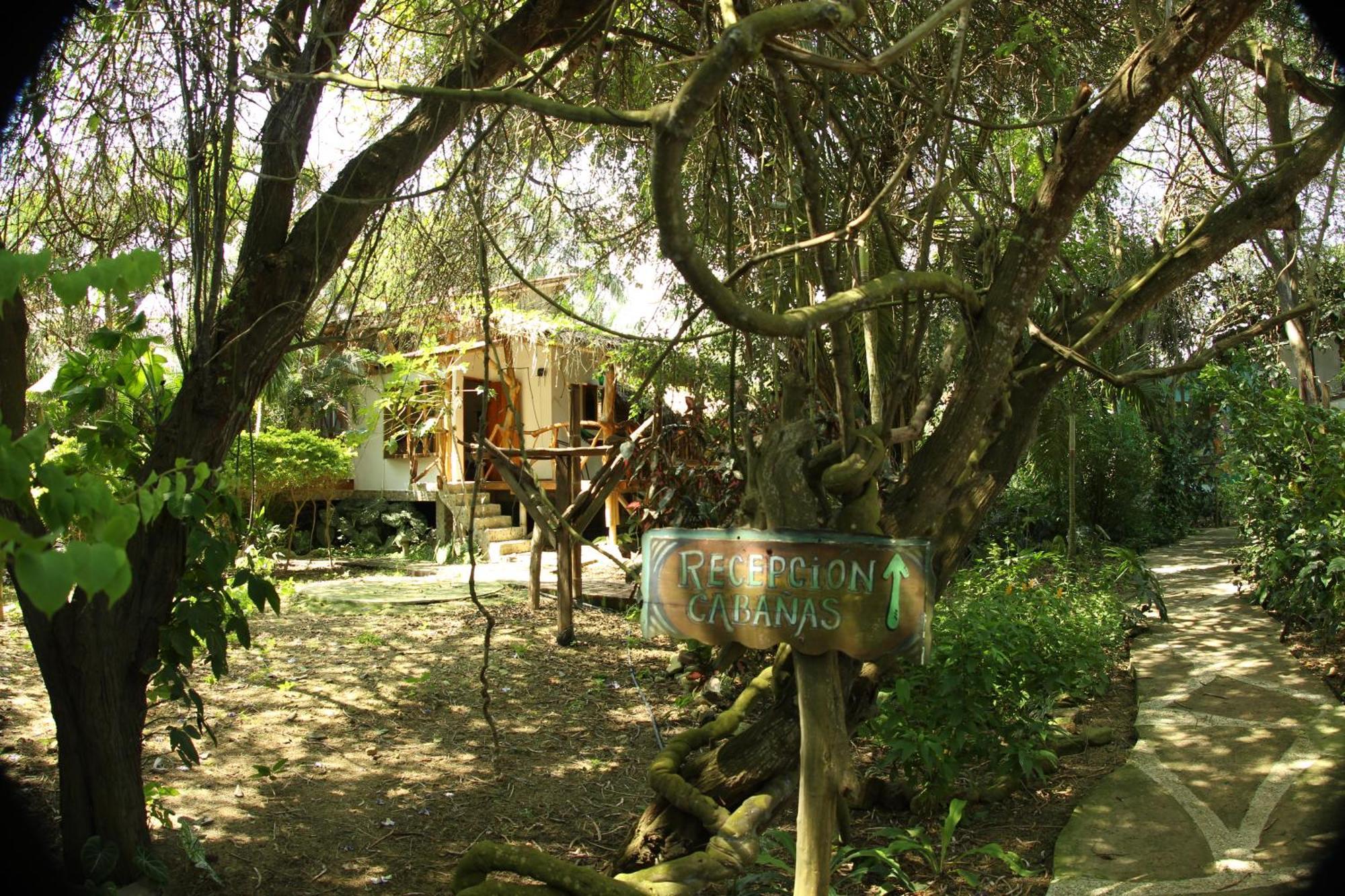 Bed And Breakfast Puerto López Dış mekan fotoğraf